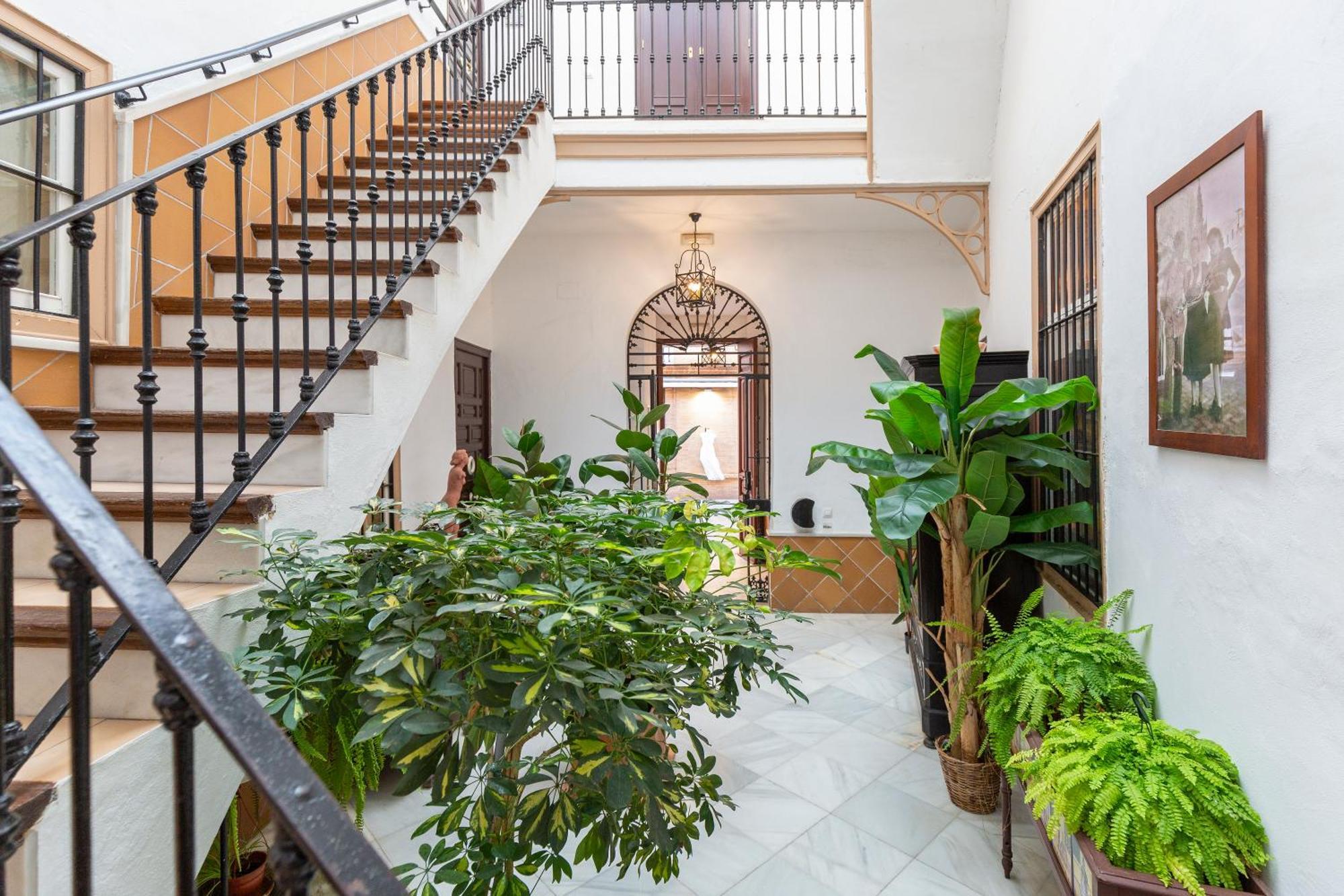 Appartement Descubrehome Penthouse Santa Cruz, Private Terrace *